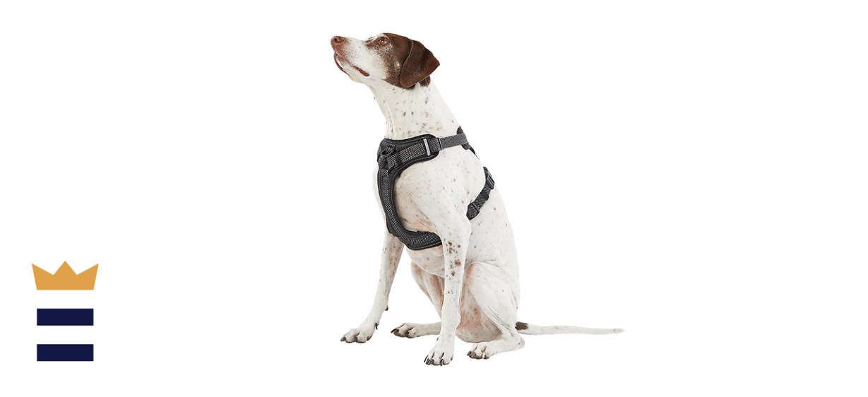 Top Paw Ultra Reflective Dog Harness