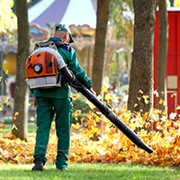 electric leaf blower2