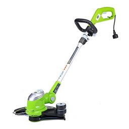 Greenworks
