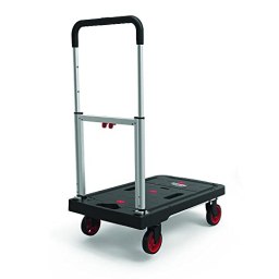 Magna Cart
