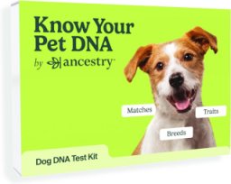 AncestryDNA