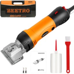 BEETRO