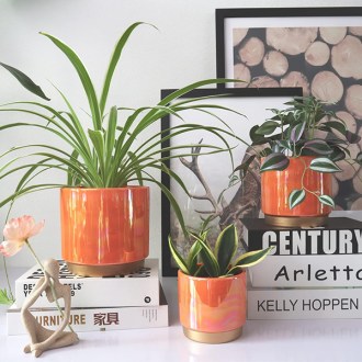 Gepege Rainbow Pearl Glaze Planter