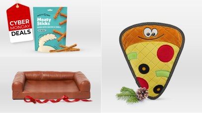 The best Cyber Monday deals at PetSmart