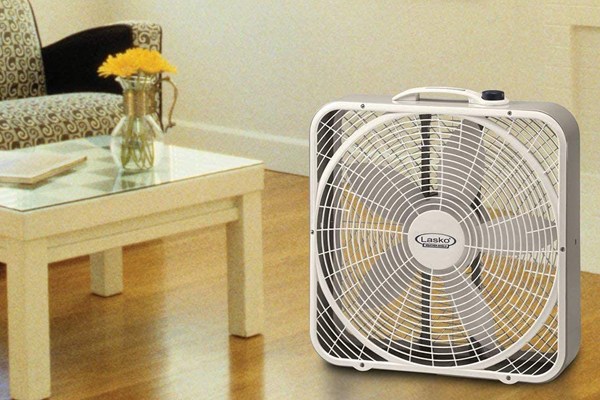 First Box Fan 5 Best Box Fans - May 2025 - BestReviews