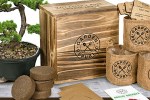 Best Bonsai Starter Kits