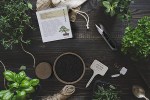 Bonsai Tree Starter Kits and Books
