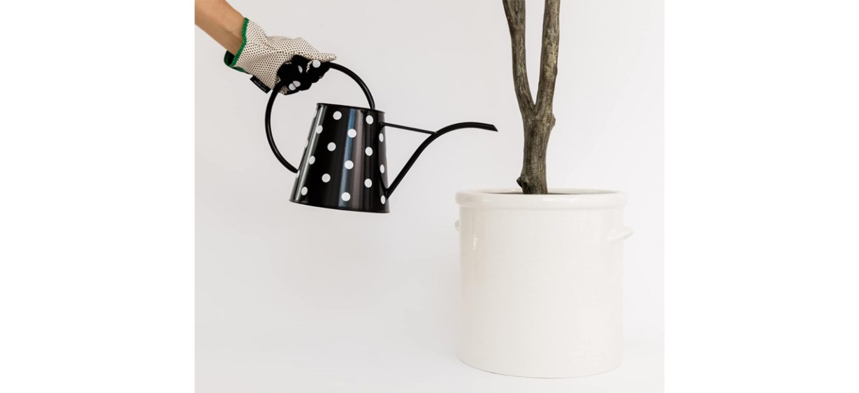 Kate Spade New York 2.5 Liter Indoor Watering Can