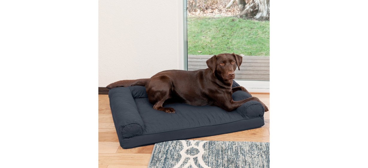 Best FurHaven Quilted Orthopedic Sofa Dog Bed