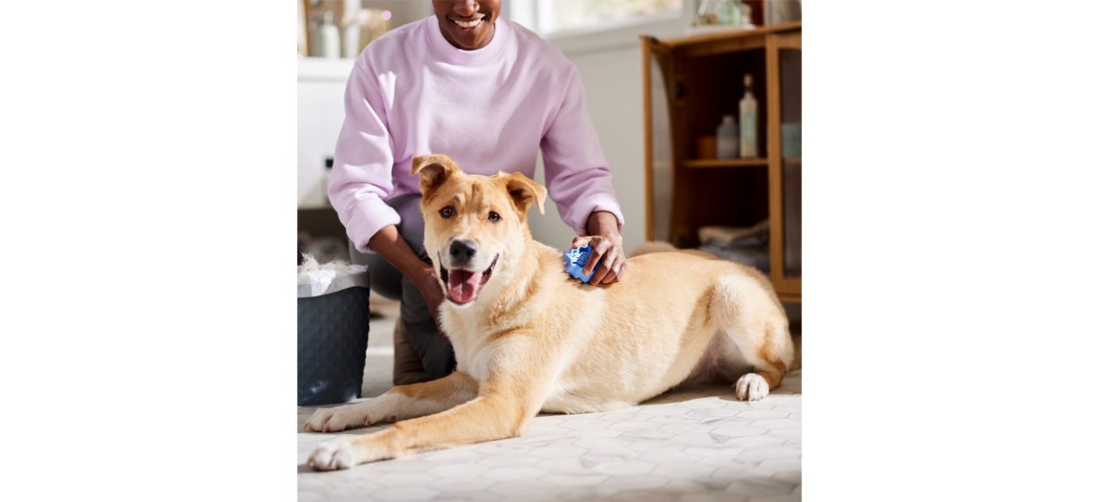 Best KONG Dog ZoomGroom Multi-Use Brush