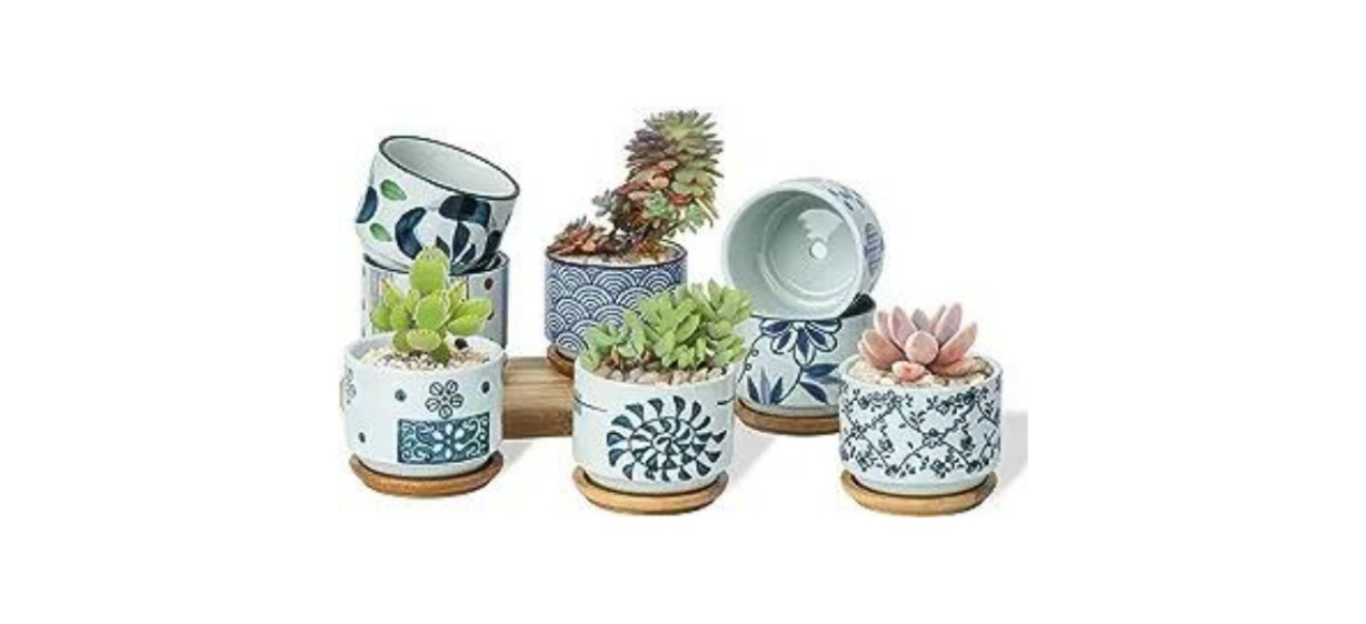 T4U 3-Inch Ceramic Succulent Planter Pots with Bamboo Trays, Set of 8
