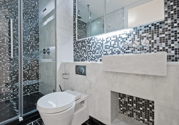 dual flush toilet1