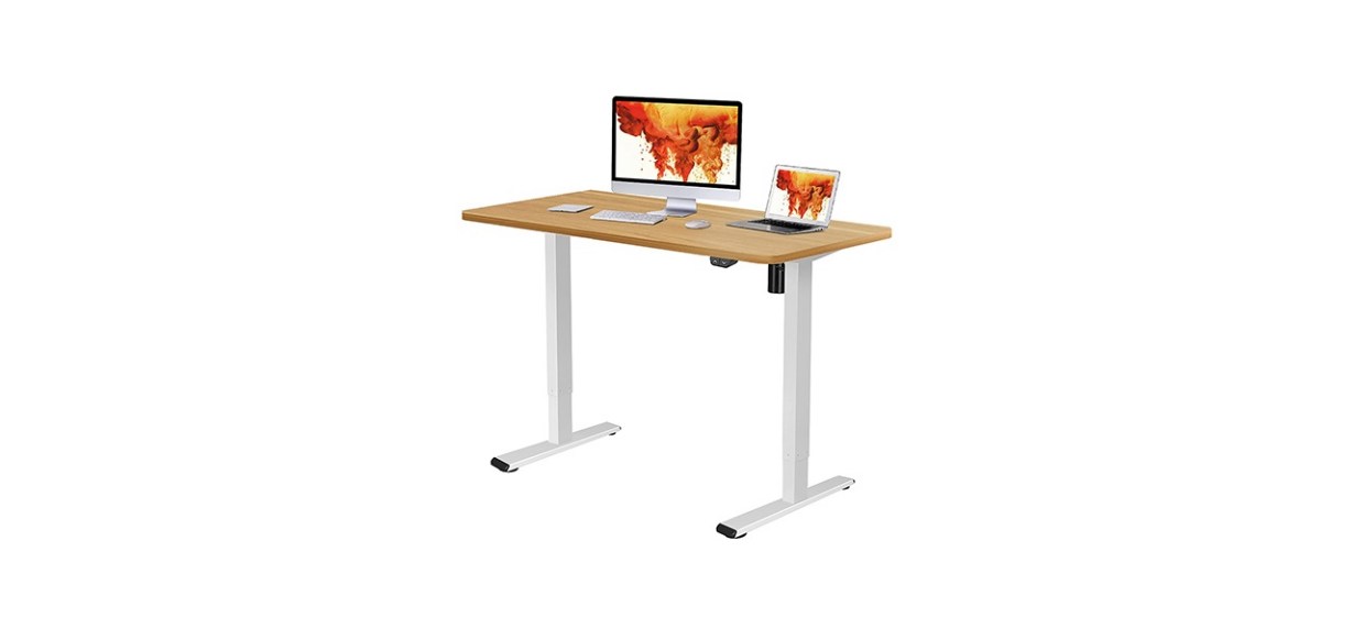 Flexispot Electric Adjustable Height Standing Desk