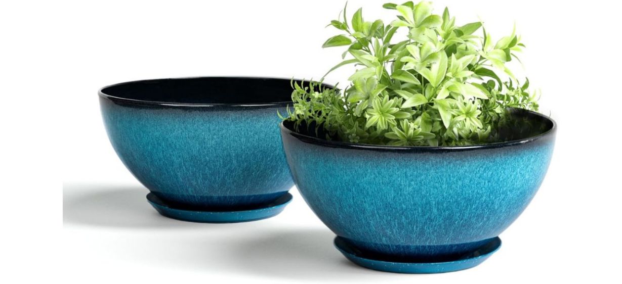 Plant Pots on white background