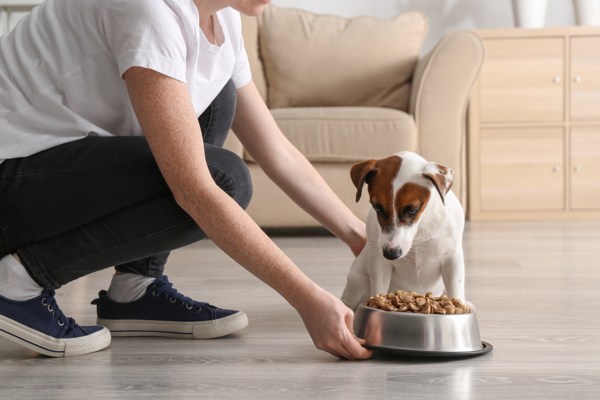 purina pro plan dog food3
