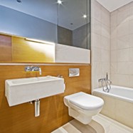 dual flush toilet3