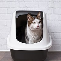 litter box liners