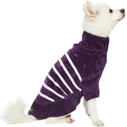 Blueberry Pet