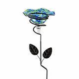 Best Butterfly Feeders 