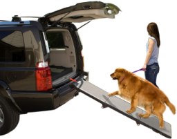 Pet Gear