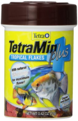 Tetra