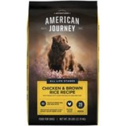 American Journey