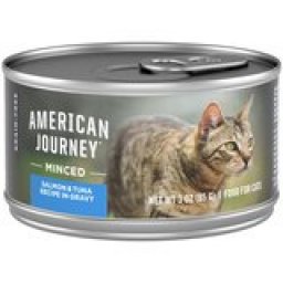 American Journey