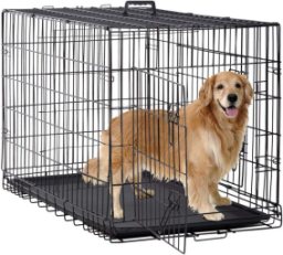 BestPet