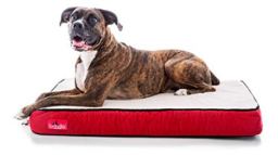 Brindle