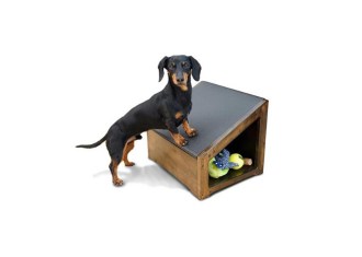 DoggoRamps Step-Ramp