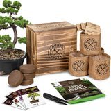 Garden Republic Bonsai Tree Seed Starter Kit