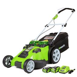 Greenworks