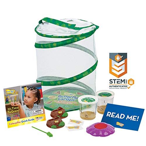 Insect Lore Butterfly Garden: Original Habitat and Two Live Cups of Caterpillars