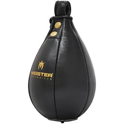 Meister