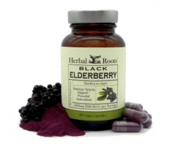Herbal Roots