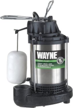 Wayne