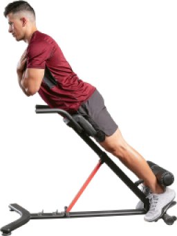 Sunny Health & Fitness
