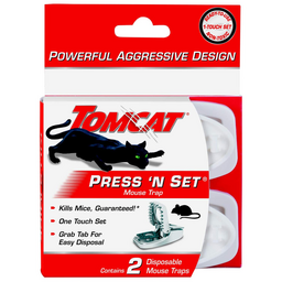 Tomcat