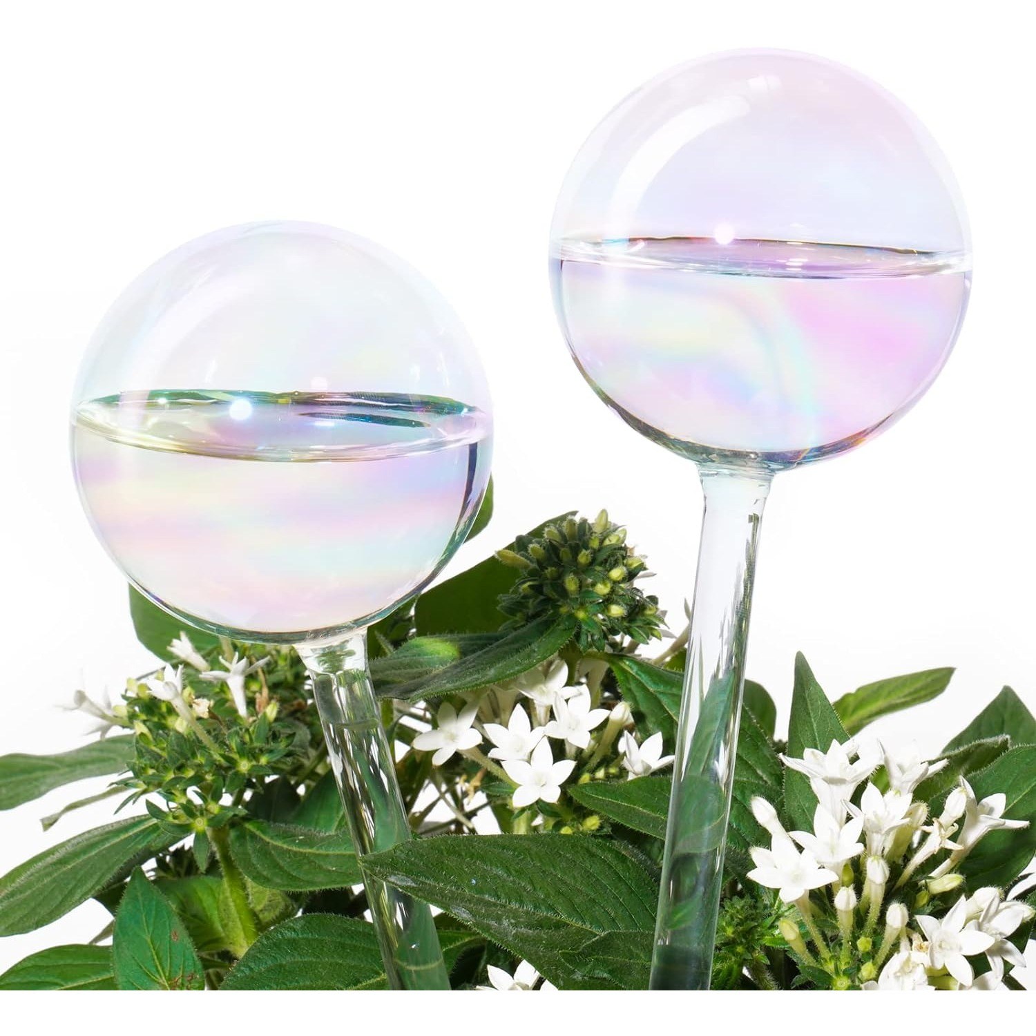 Tomorotec Aqua Globes
