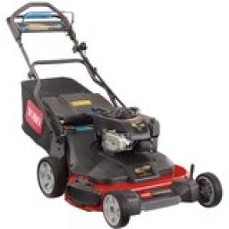 Toro